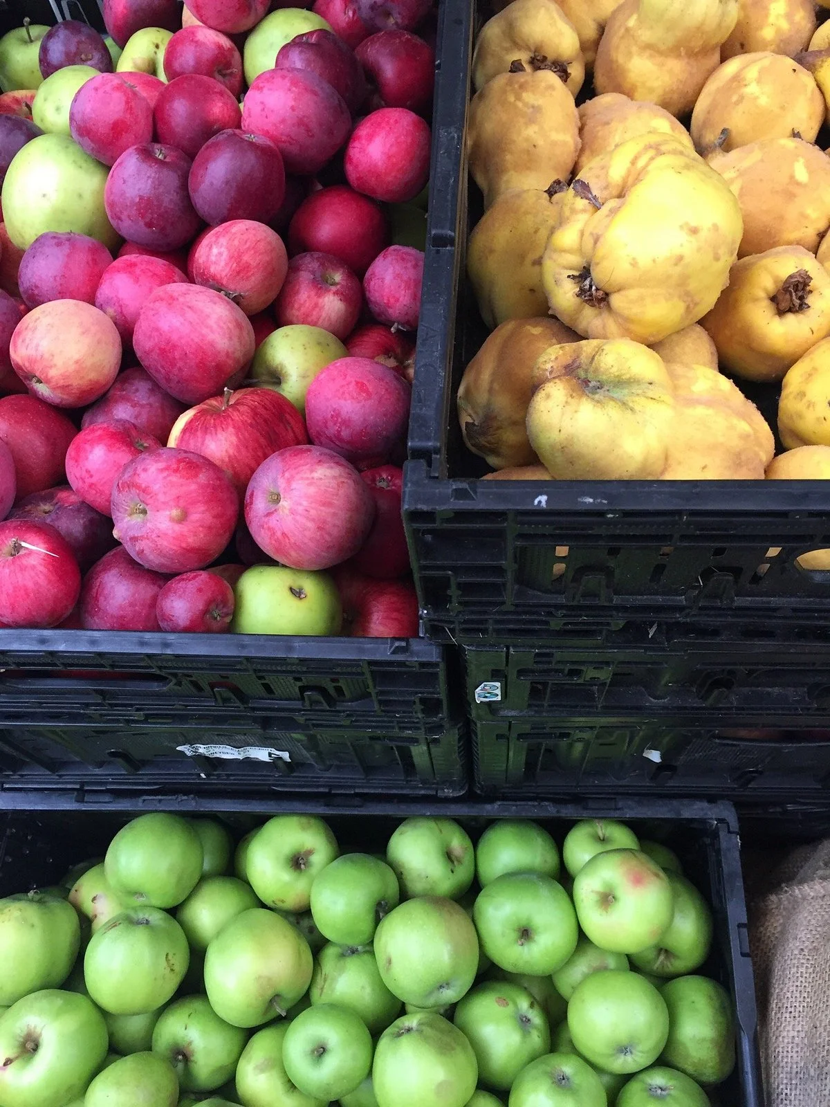 Nashi Orchards