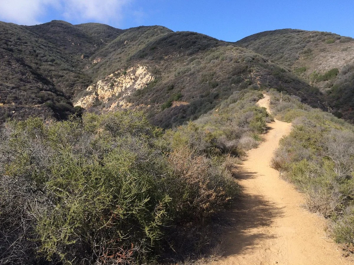 Zuma and Trancas Canyons