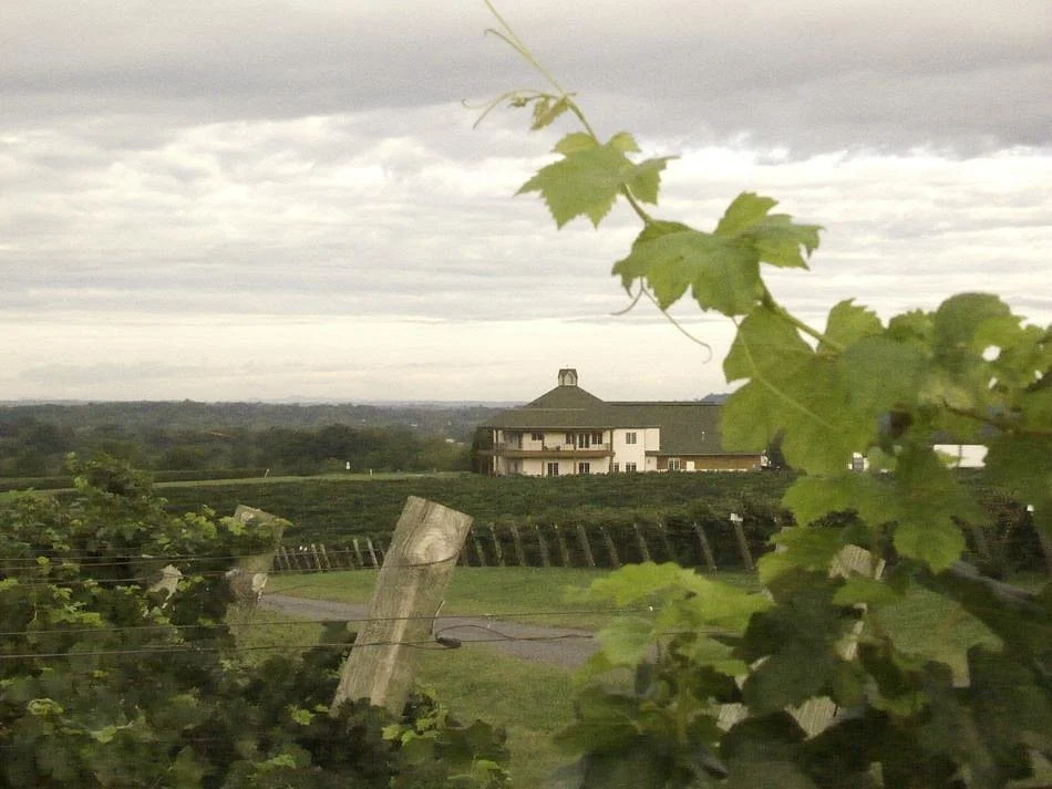 RayLen Vineyards