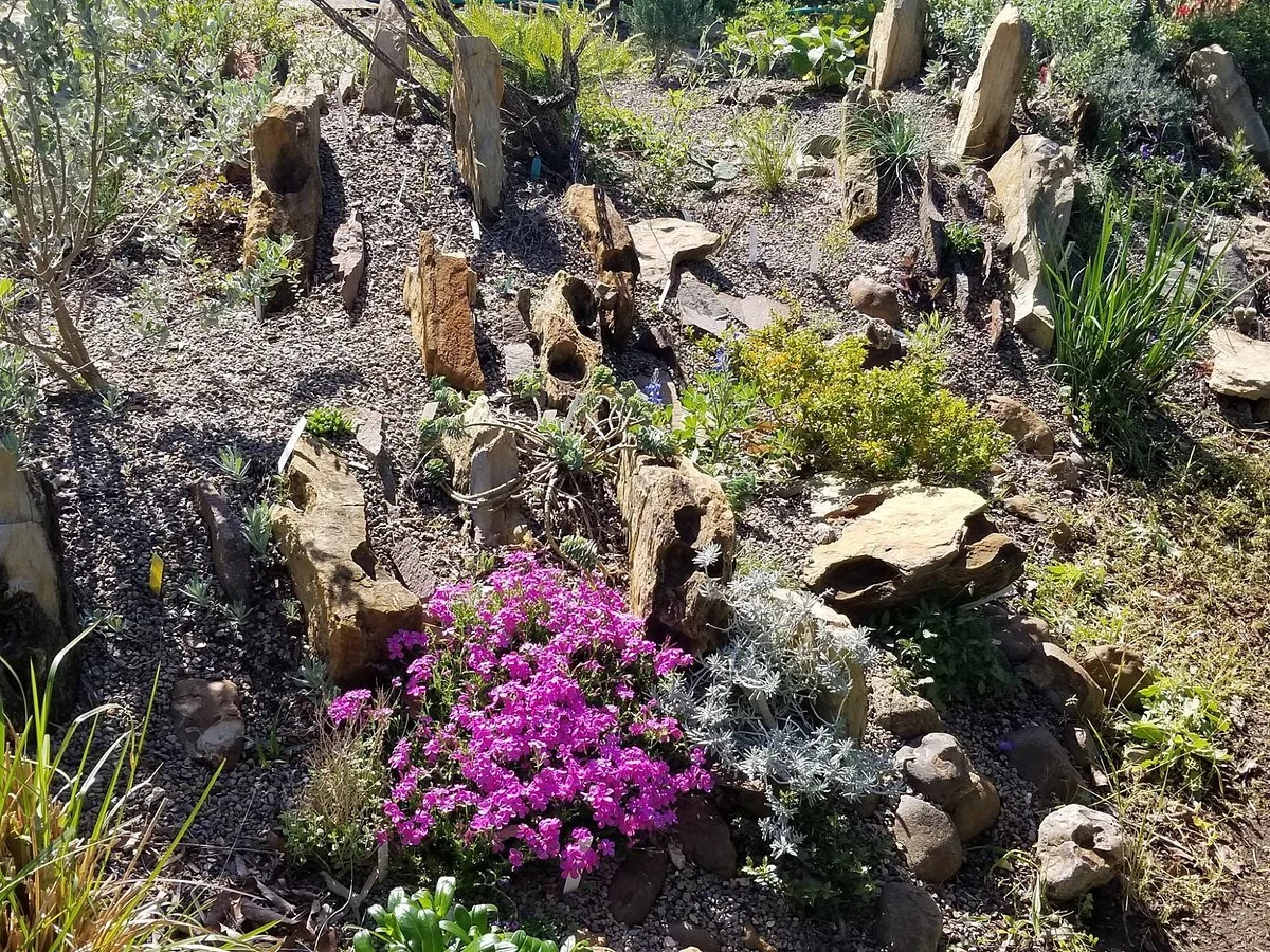 John Fairey Garden