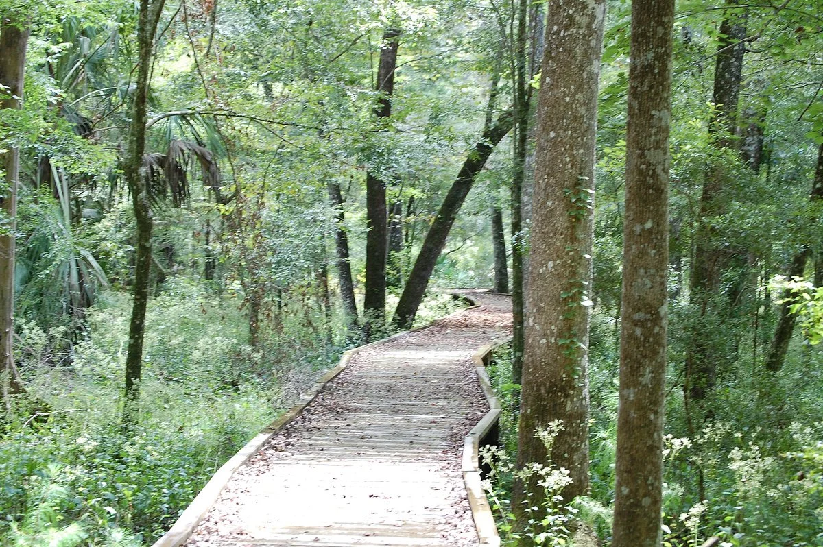 Goethe State Forest
