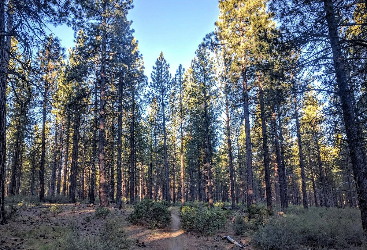Phil's Trailhead