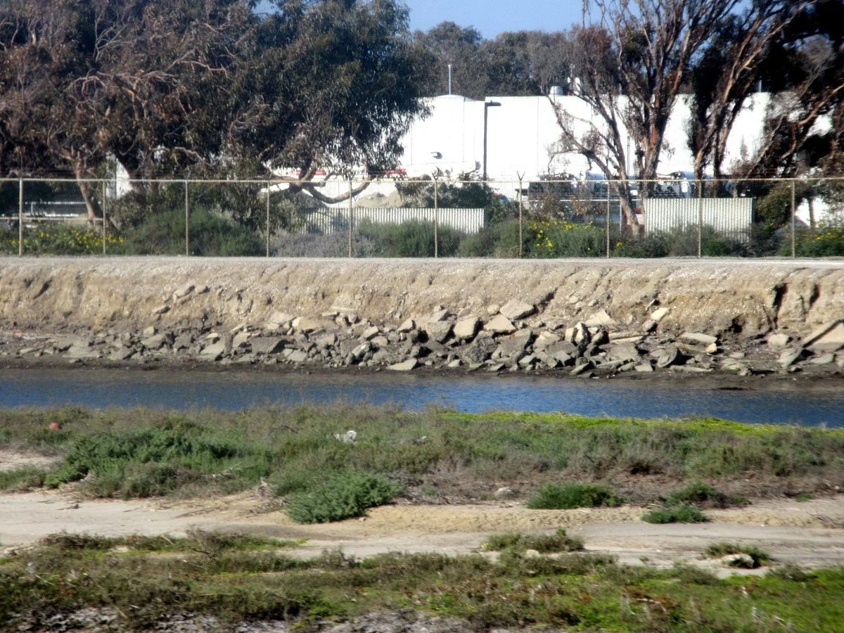 Huntington Beach Wetlands