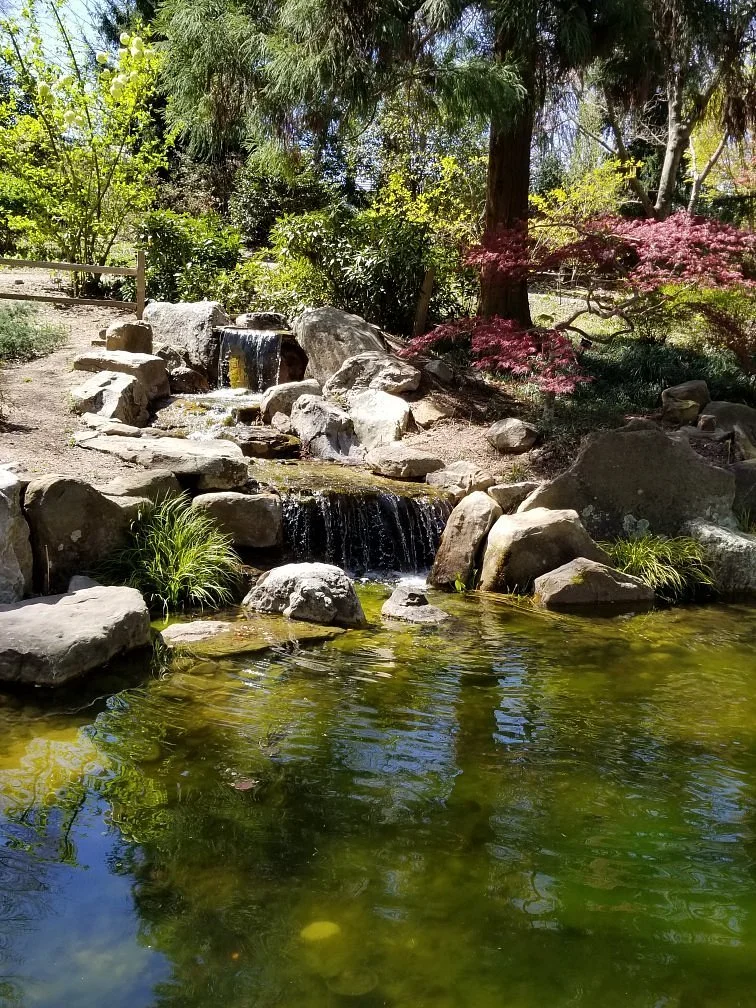 UNC Charlotte Botanical Gardens