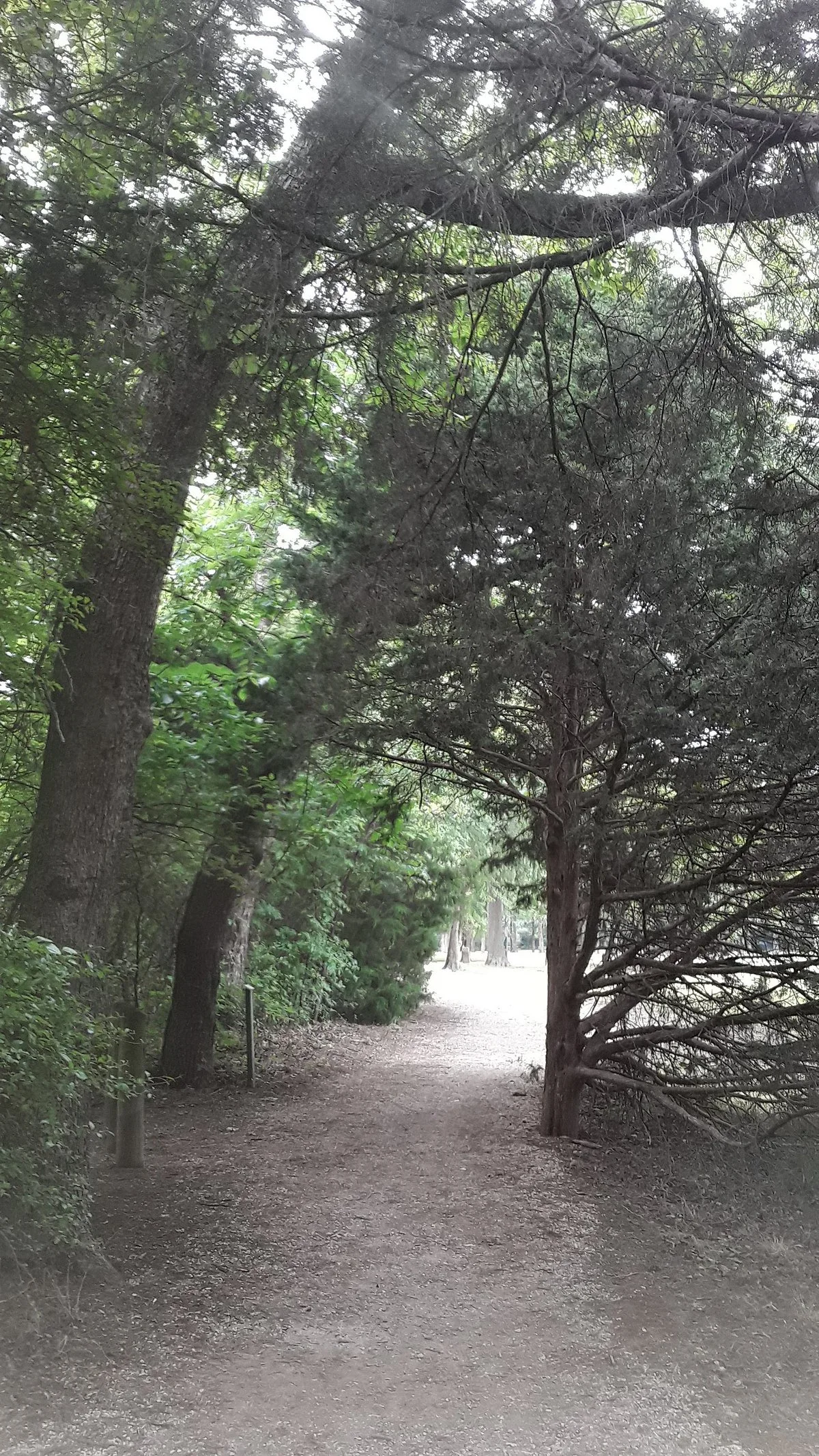 Villages of Bear Creek Park