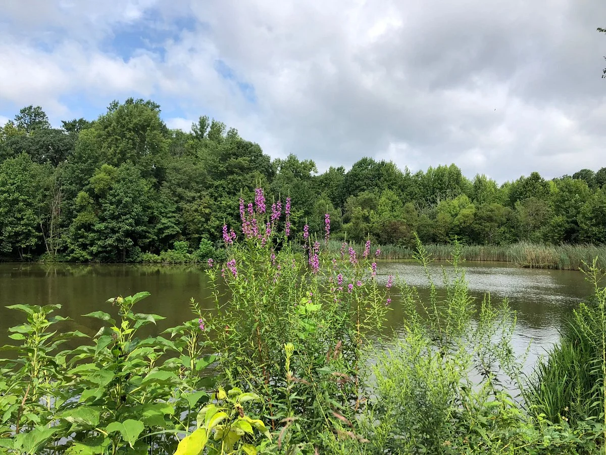 Washington Lake Park