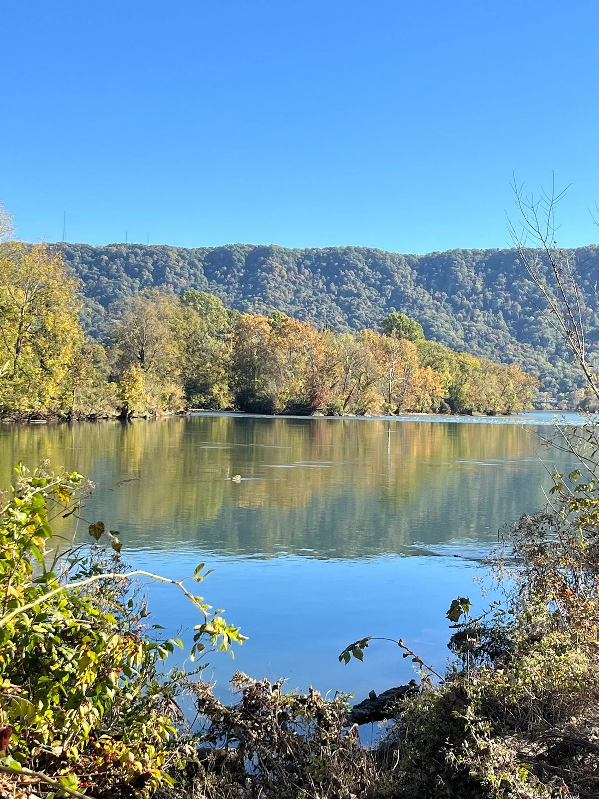 The Kingsport Greenbelt