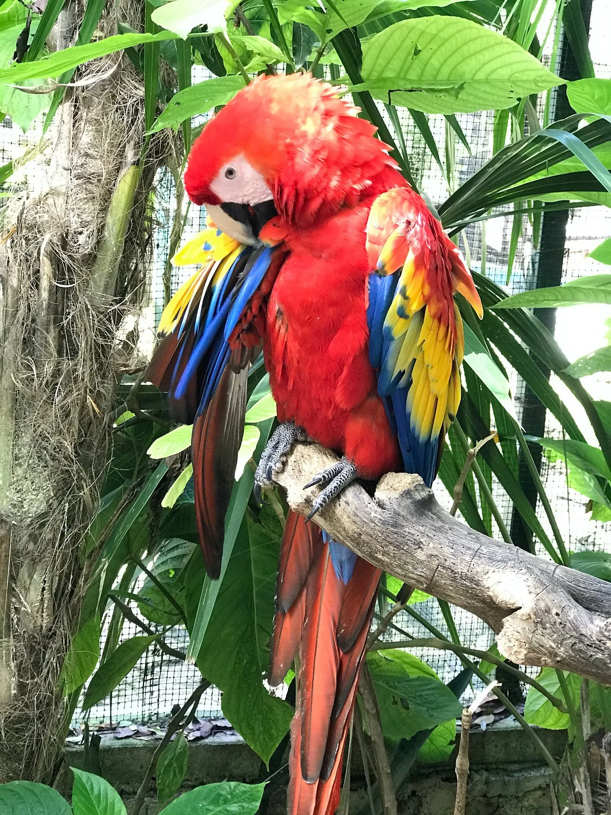 Zoologico Payo Obispo
