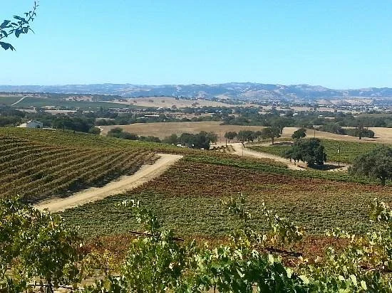 Pear Valley Vineyard