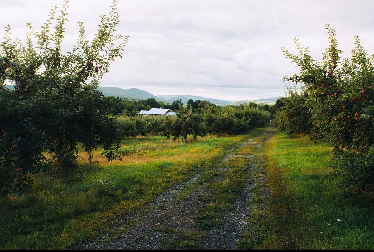 Furnace Brook Winery at Hilltop Orchards