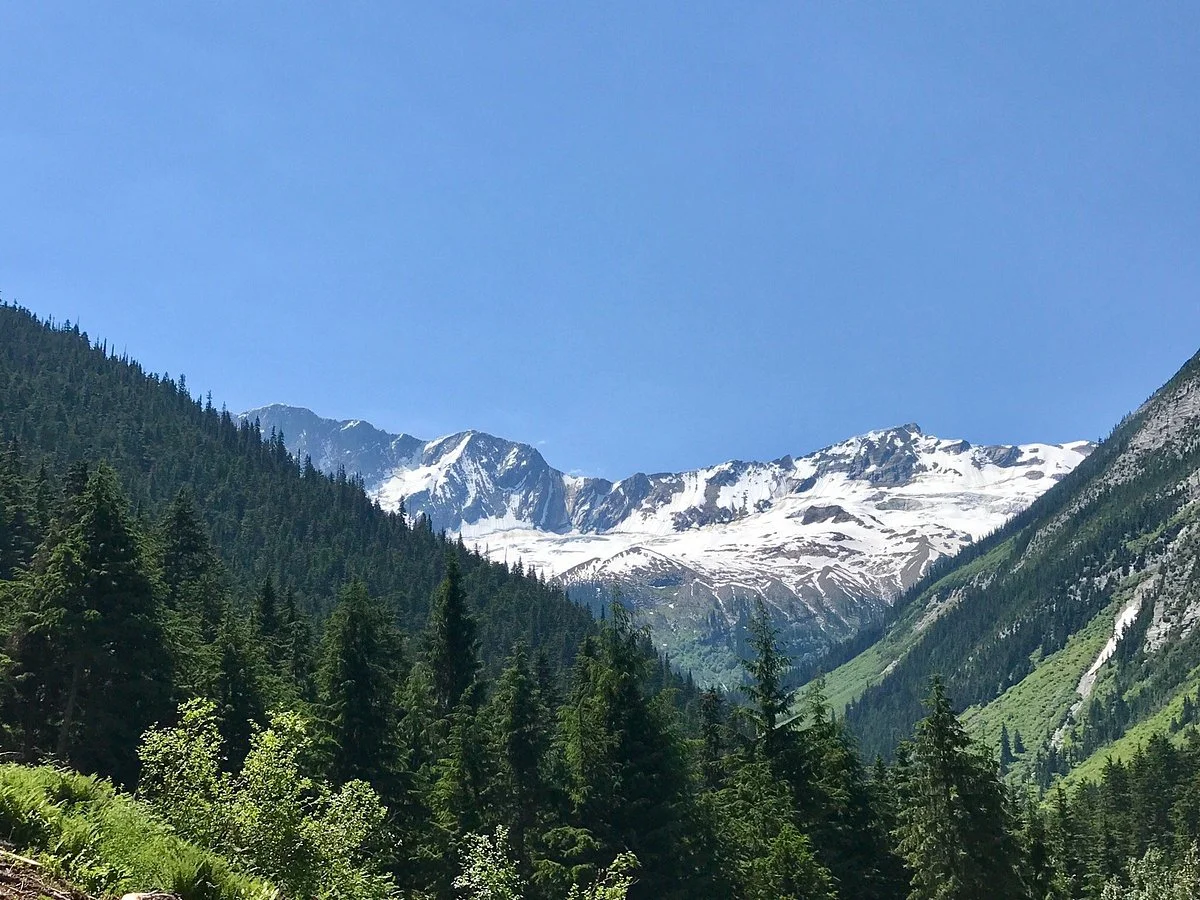 Loop Brook Trail