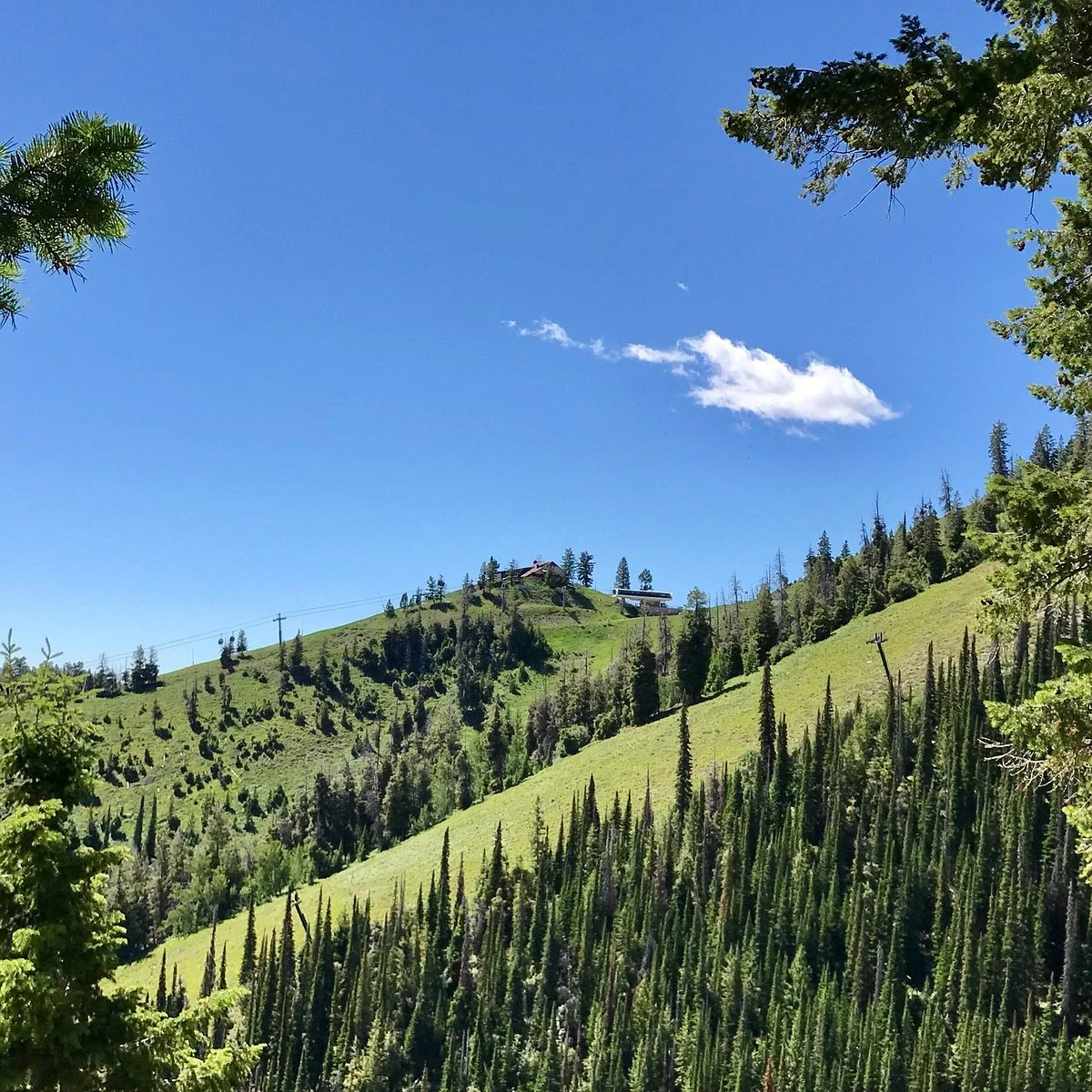 Bald Mountain Trail