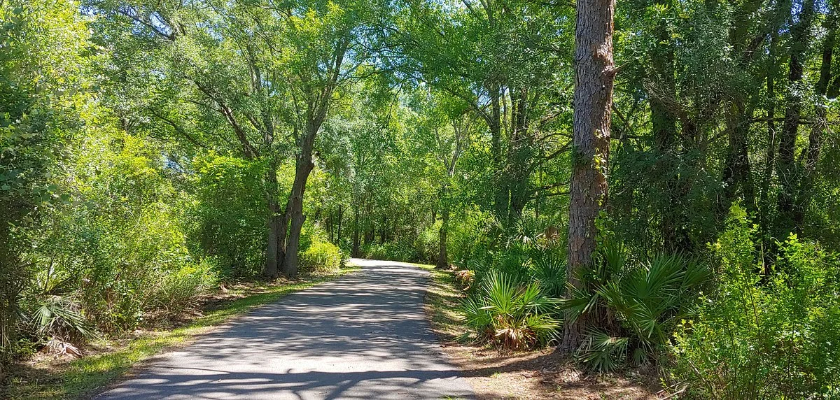 New Tampa Nature Park