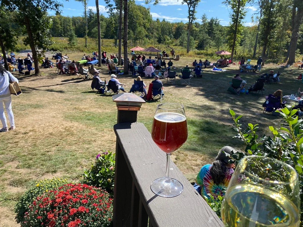 Mulberry Vineyard