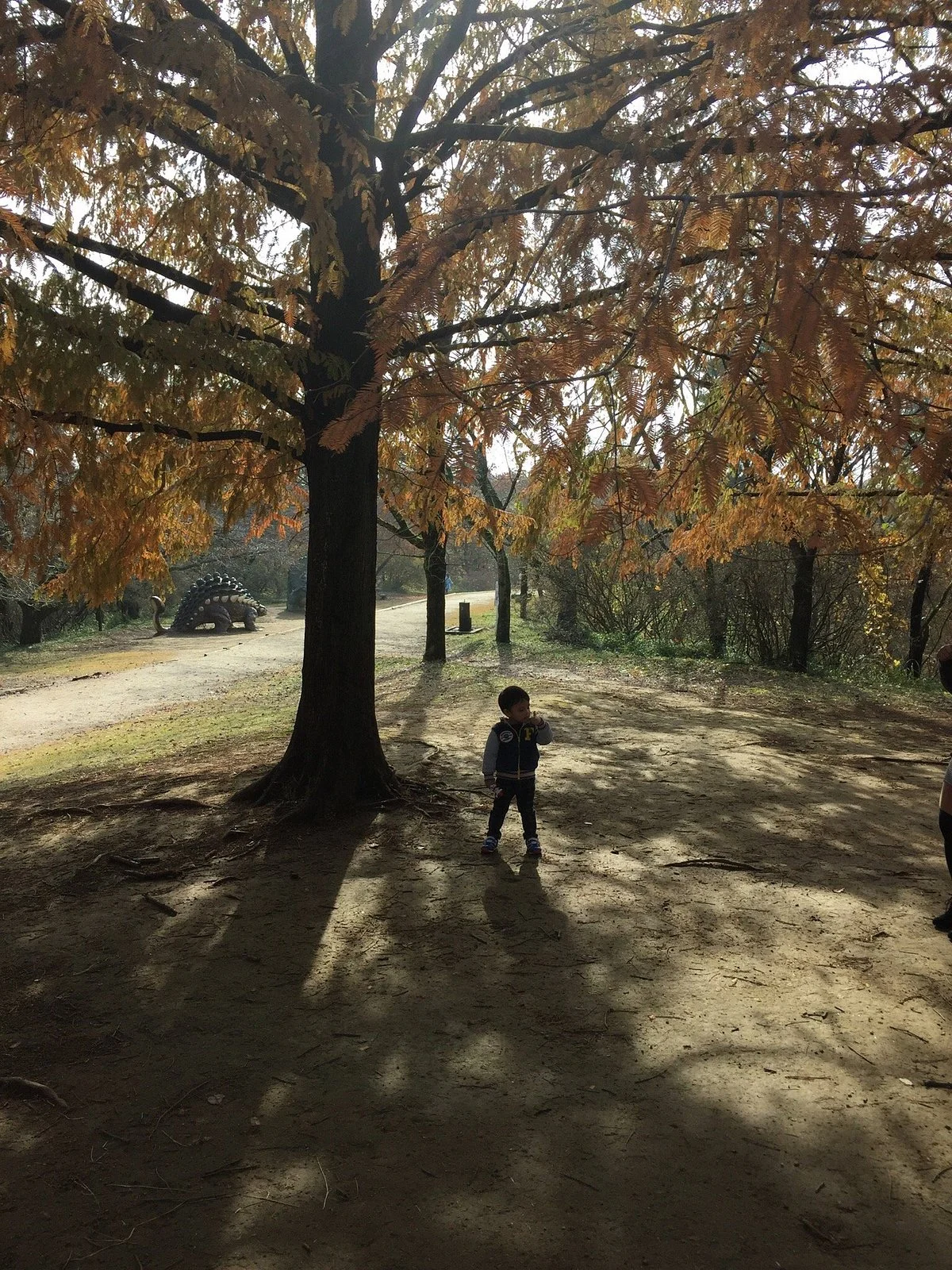 Mito City Forest Park