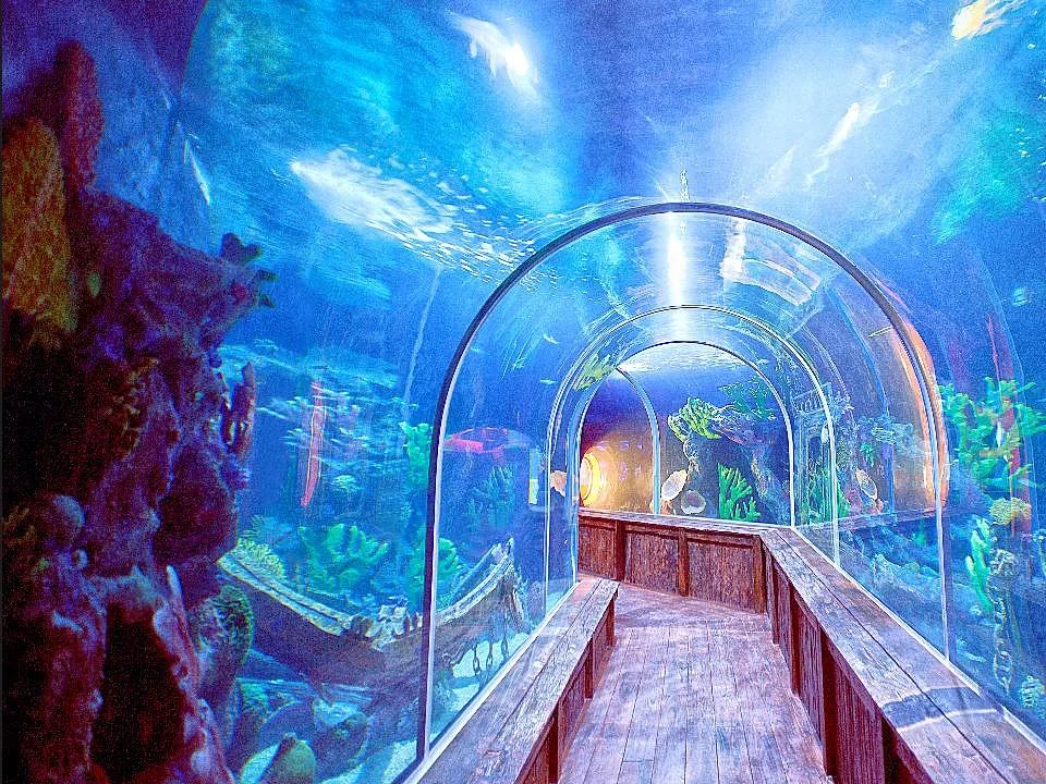 Aquamundo Sambil Santo Domingo