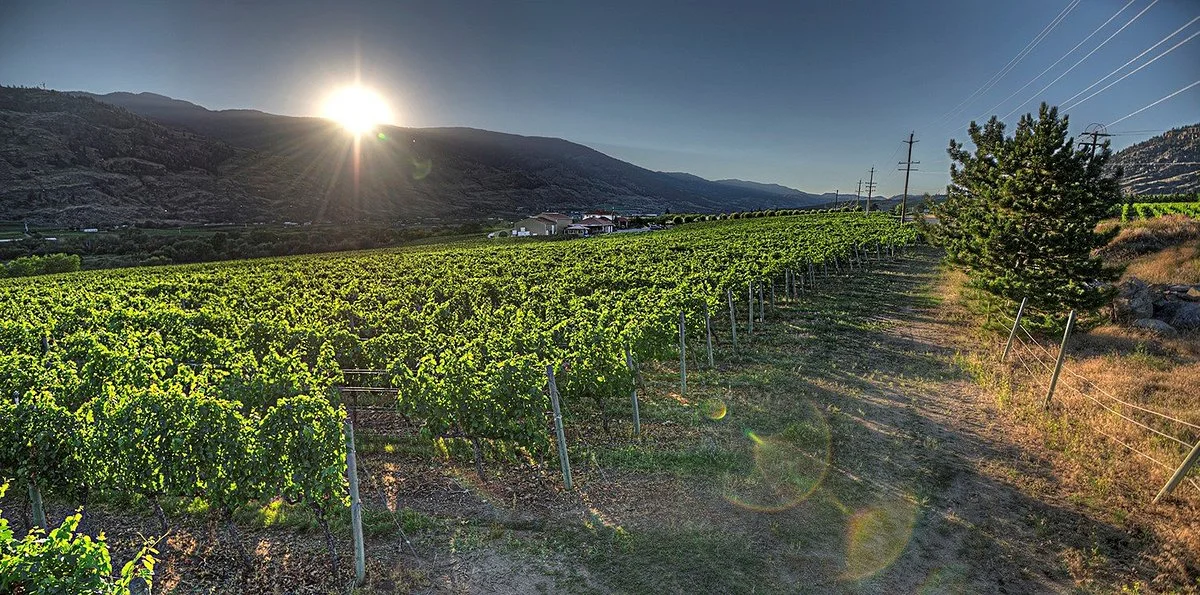 Desert Hills Estate Winery