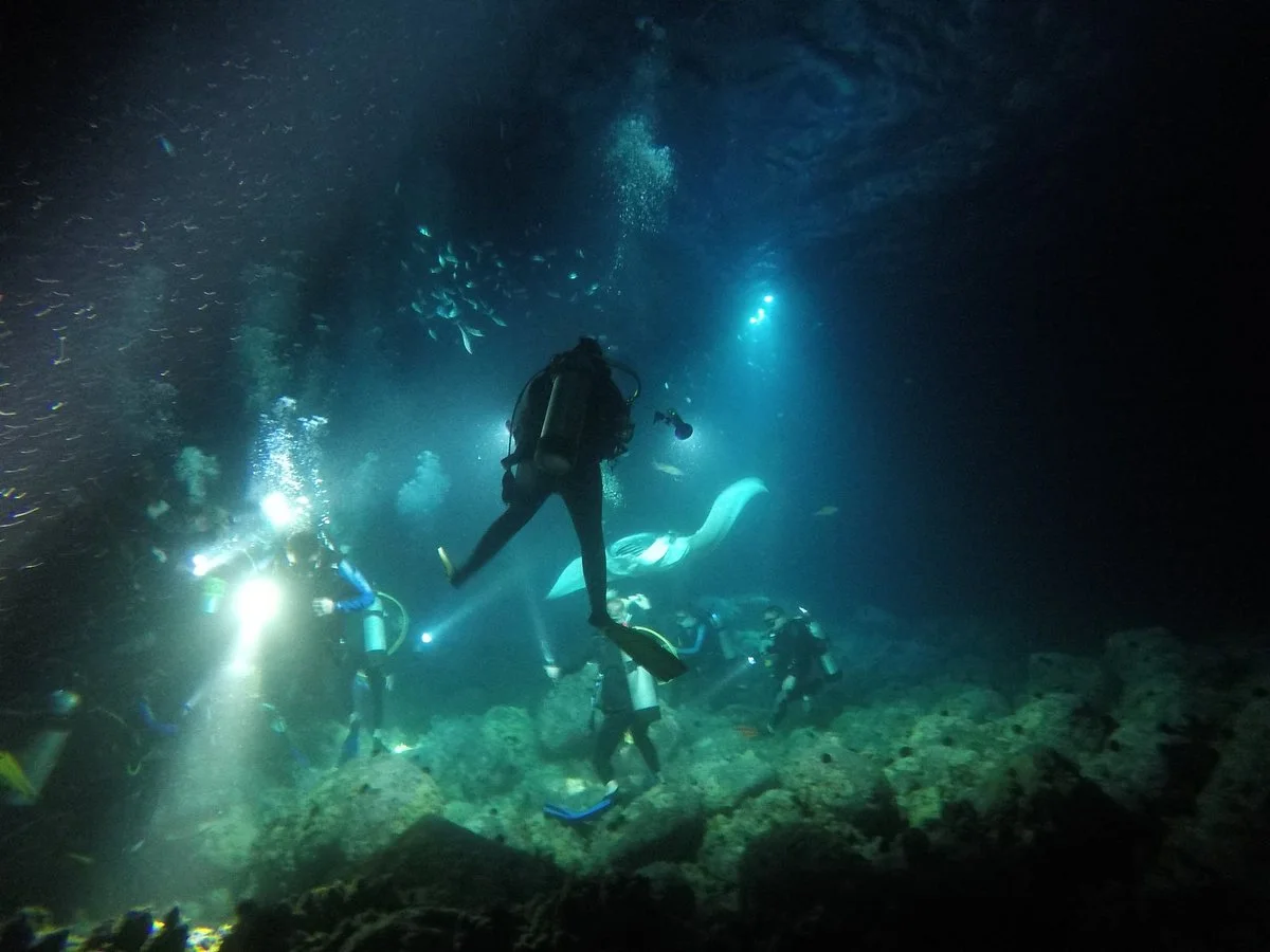 Garden Eel Cove / Manta Heaven