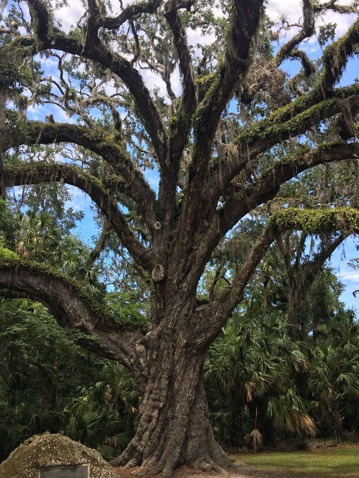 Bulow Creek State Park
