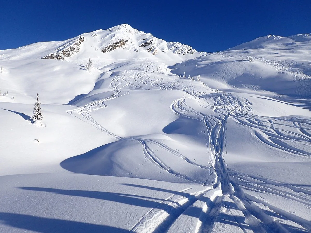 Mustang Powder