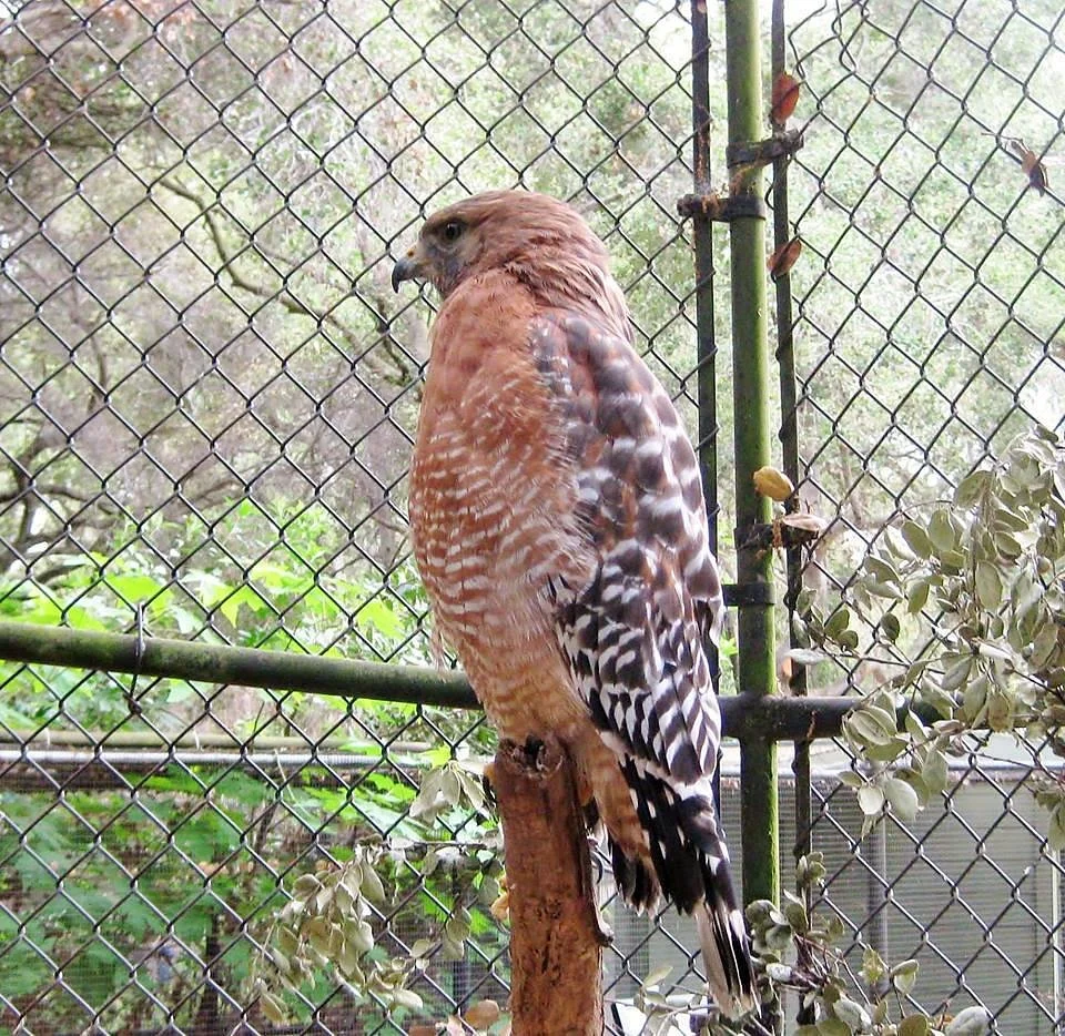Sulphur Creek Nature Center