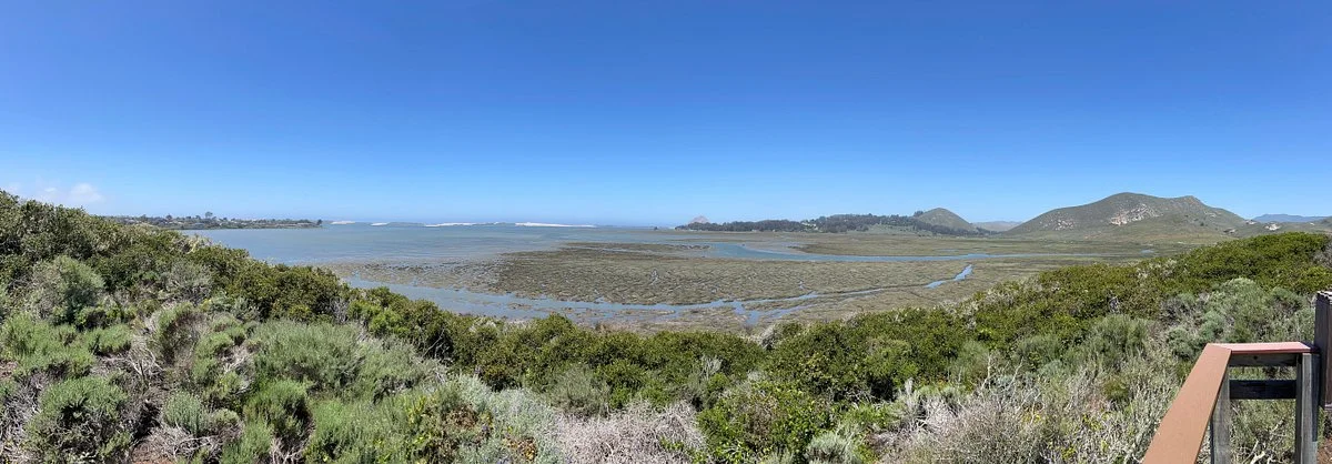 El Moro Elfin Forest