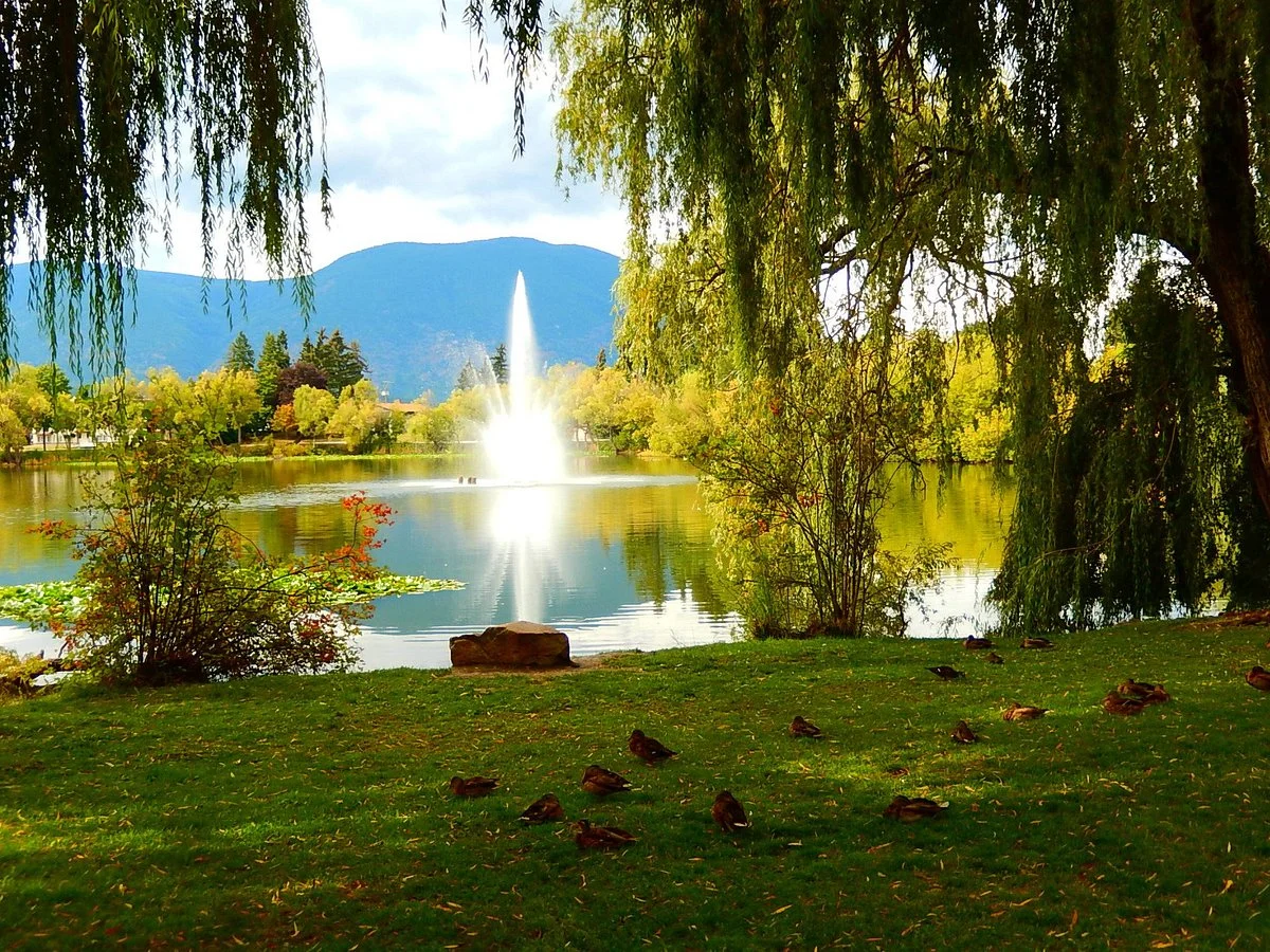 McGuire Lake Park