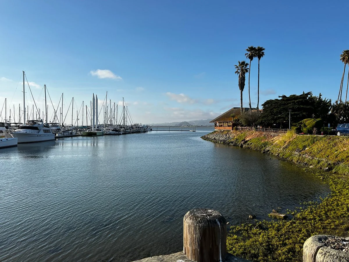 McLaughlin Eastshore State Park