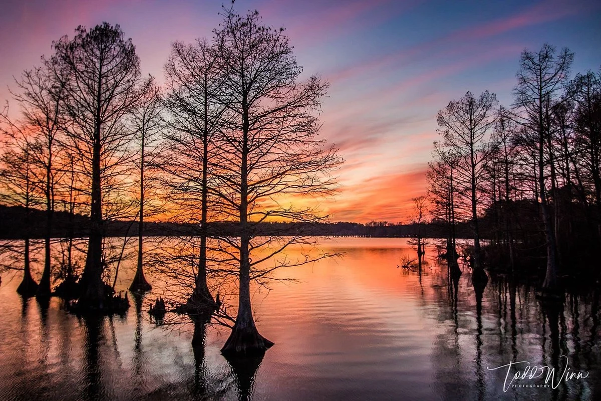 Stumpy Lake Natural Area