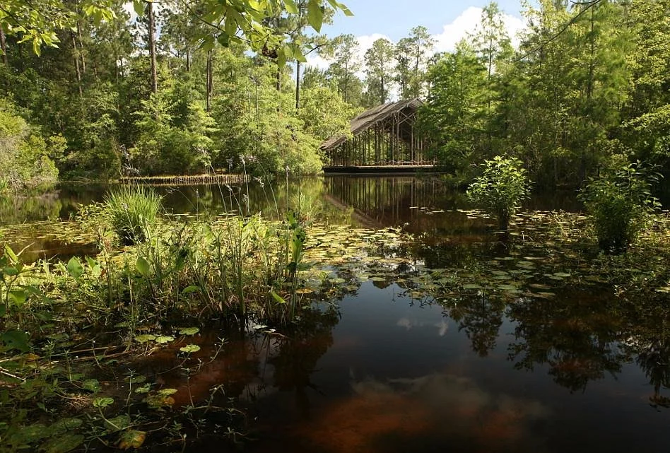 Crosby Arboretum