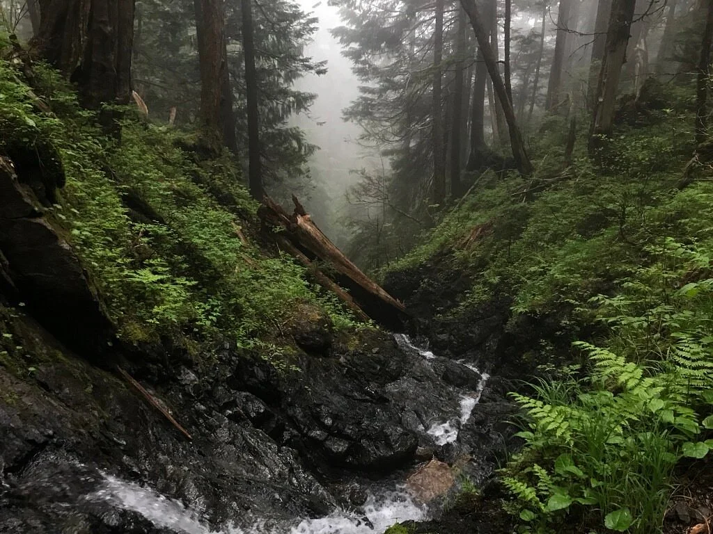 Starrigavan Recreation Area