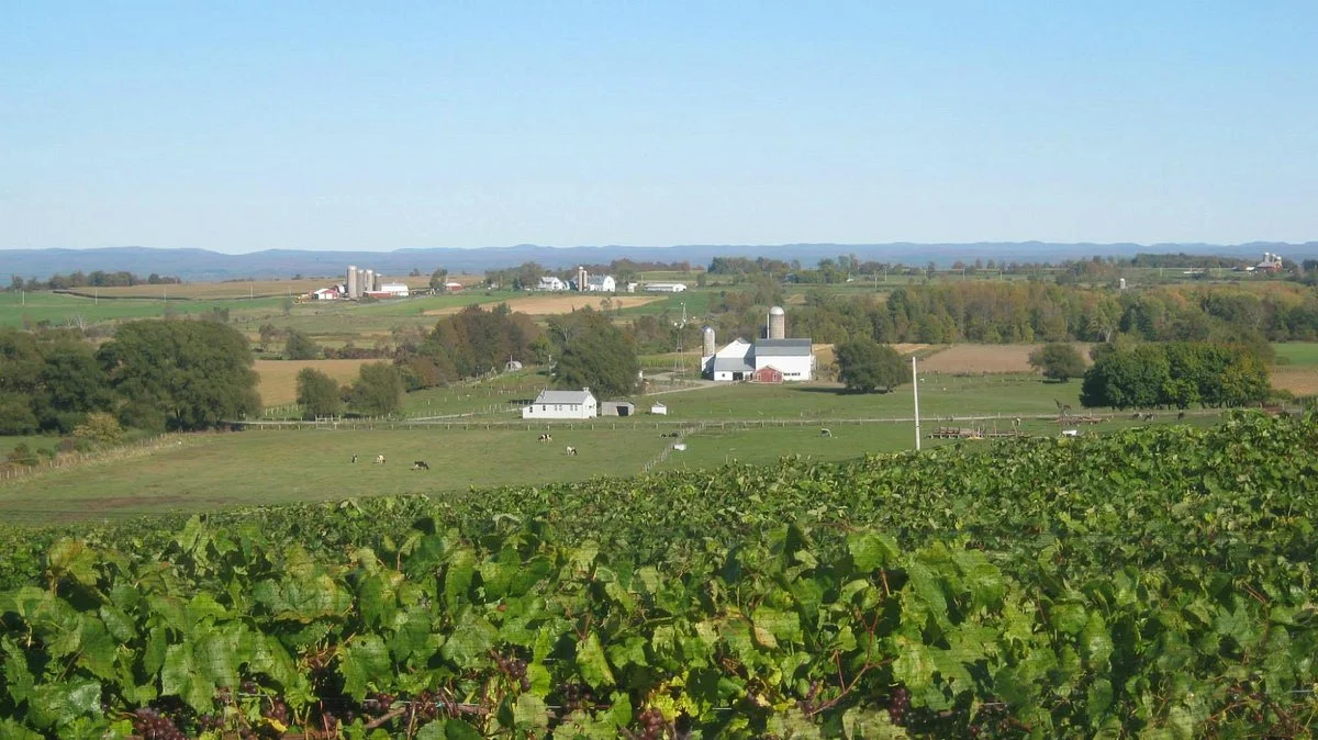 Tug Hill Vineyards