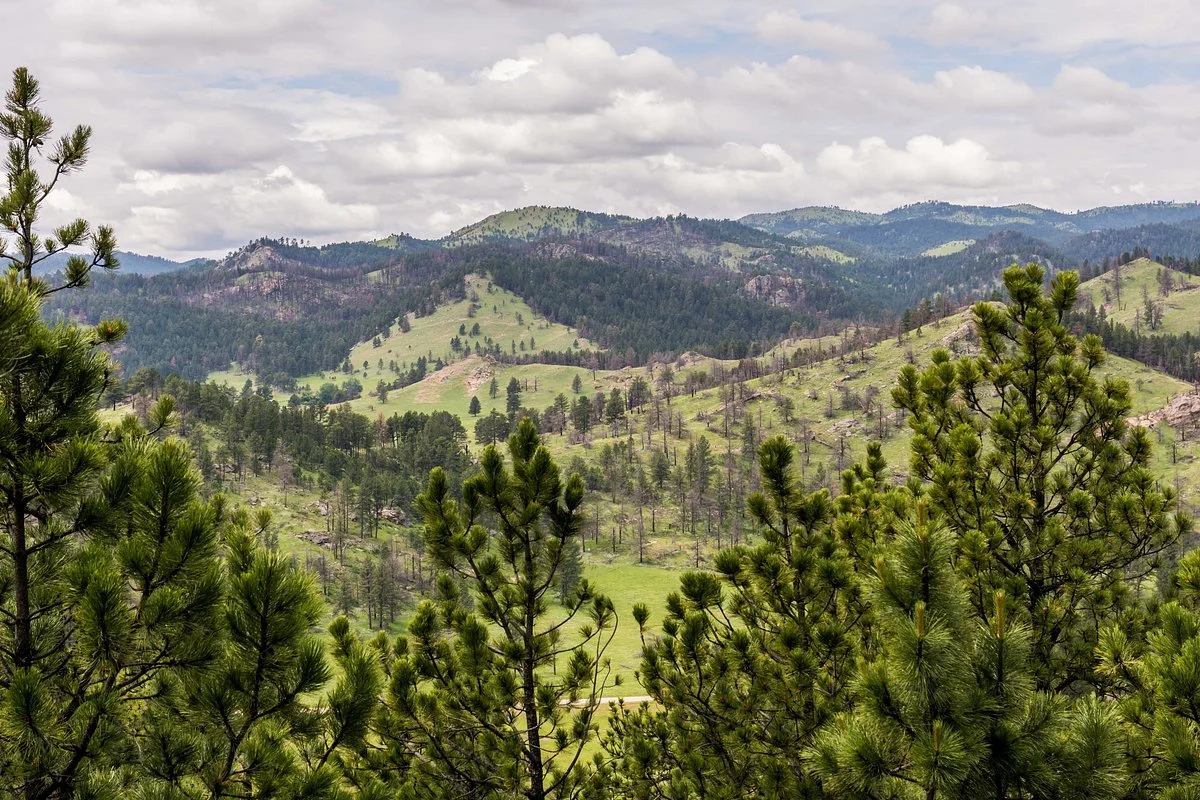 Rankin Ridge Nature Trail