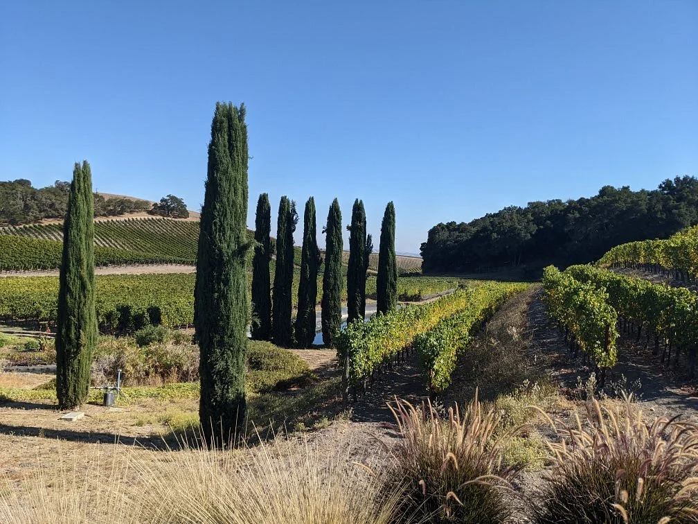 L'Aventure Winery