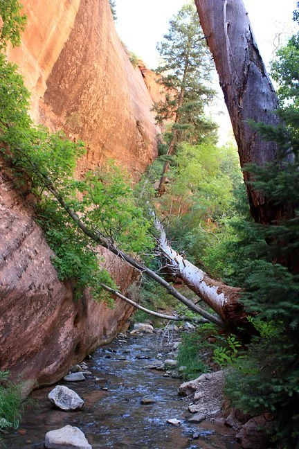 Kanarraville Slot Canyon