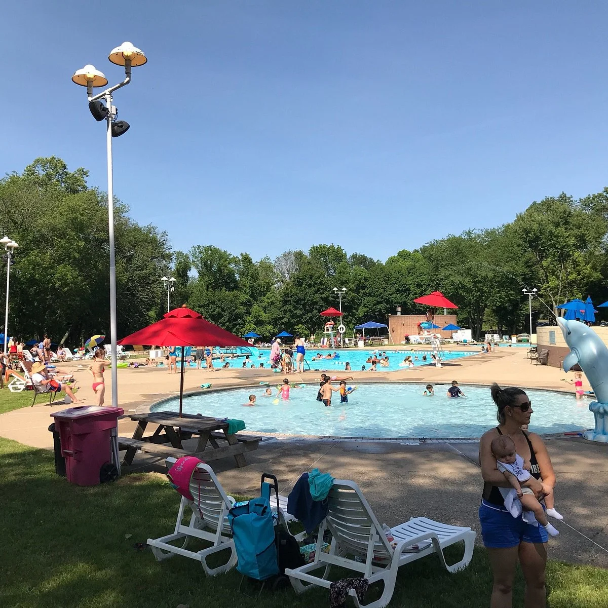 The Dolphin Swim Club