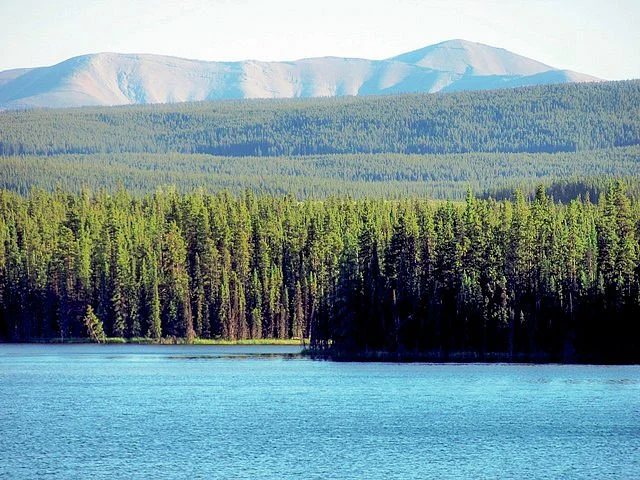 Pierre Grey's Lakes Provincial Park