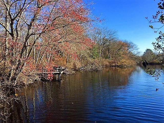 Connetquot River State Park Preserve