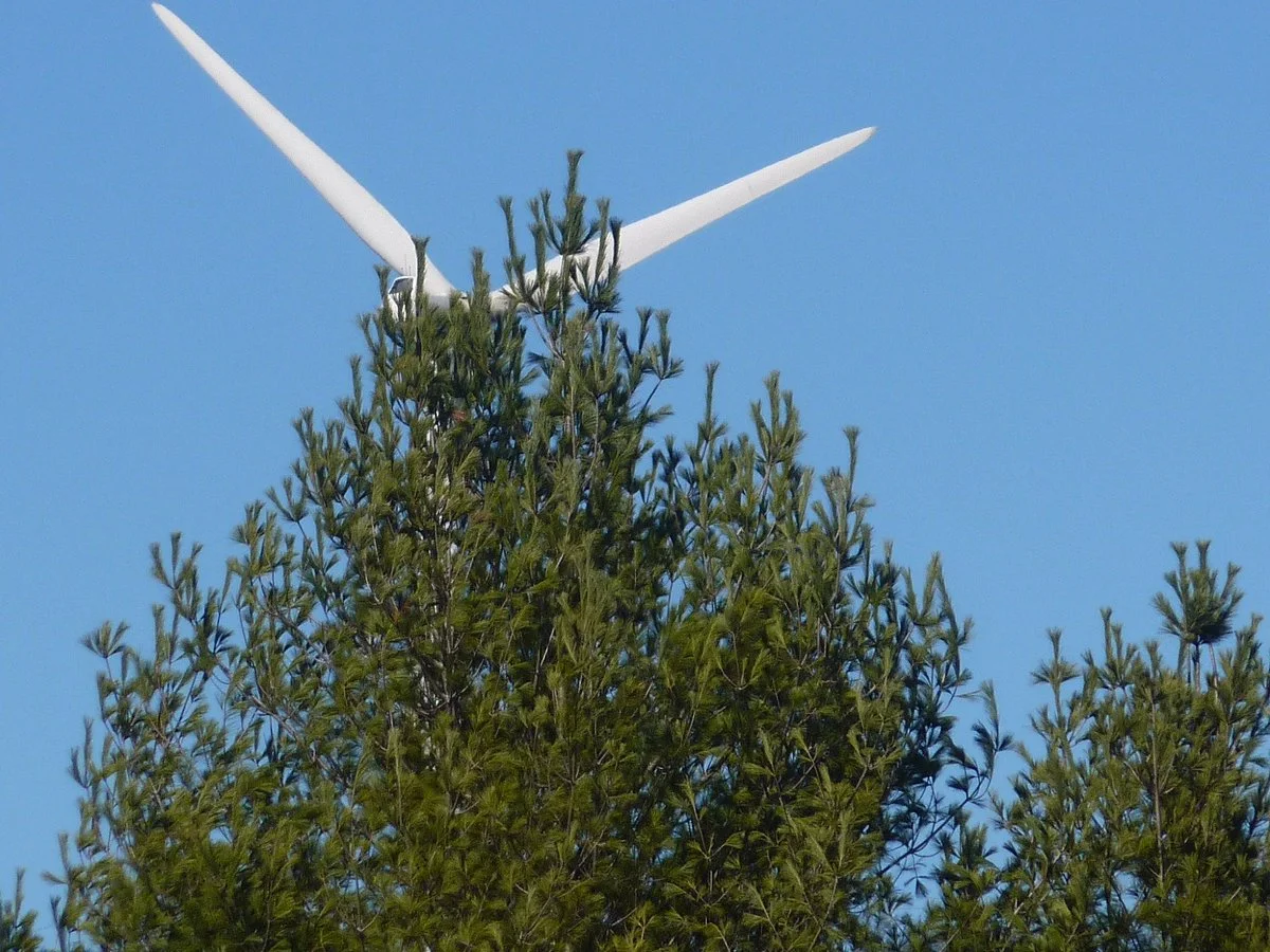 Mountaineer Wind Energy Center
