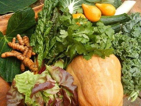 Kealia Farm Market