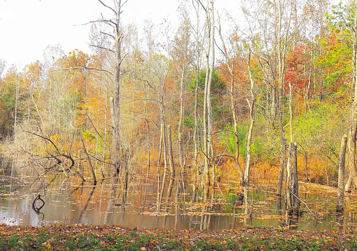 Enterprise South Nature Park
