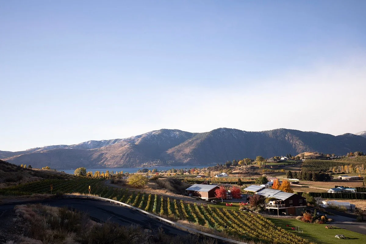 Hard Row to Hoe Vineyards