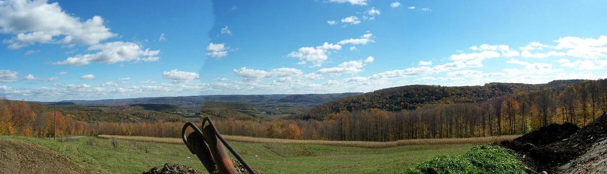 Wohlschlegel's Naples Maple Farm
