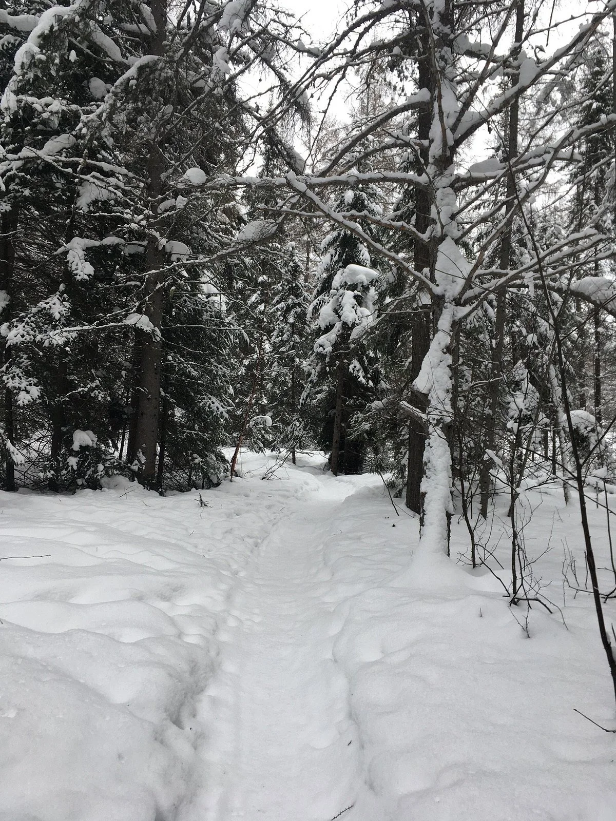 Hersey Lake Conservation Area