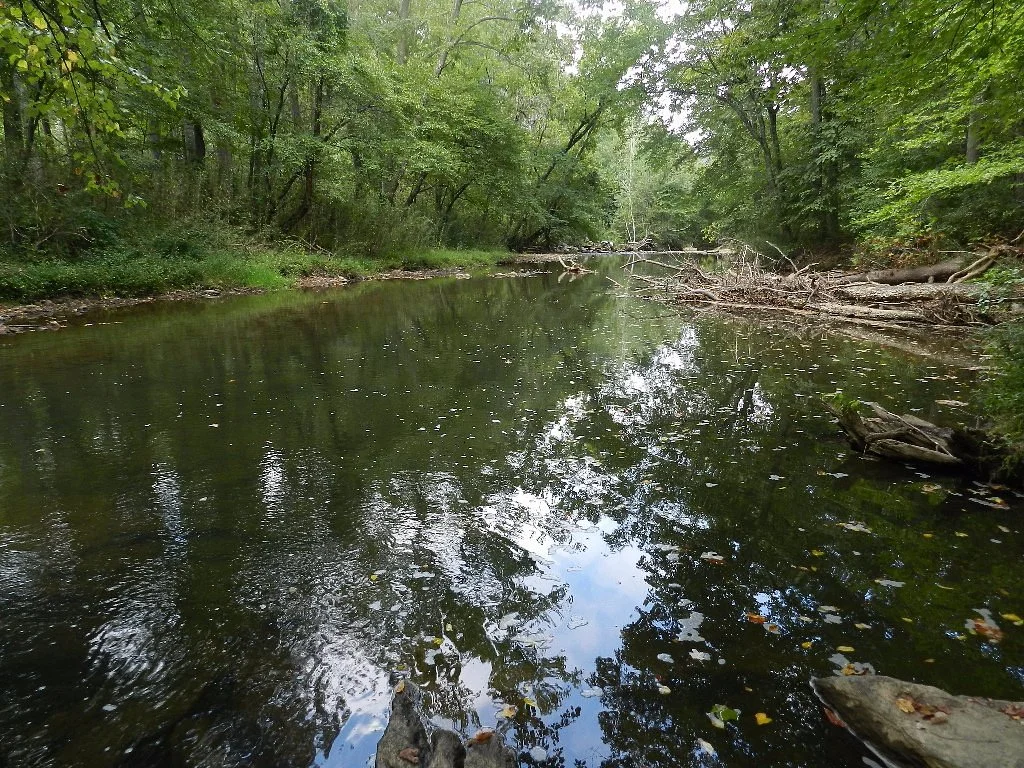 Charles D Owen Park