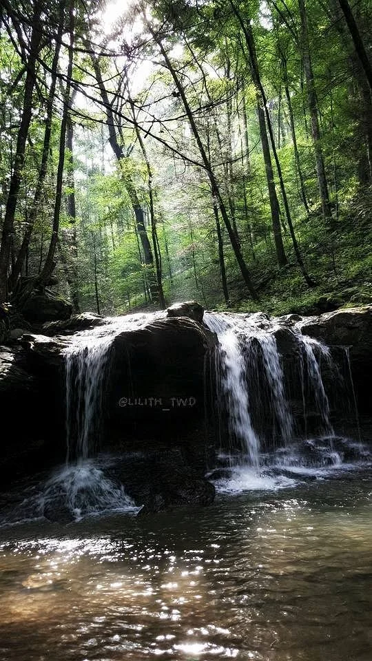 Frozen Head State Park