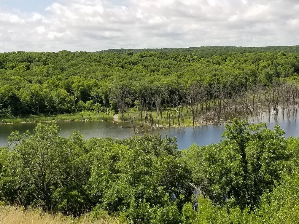 Sullys Hill National Game Preserve