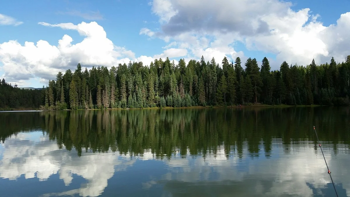 White Mountain Apache Indian Reservation