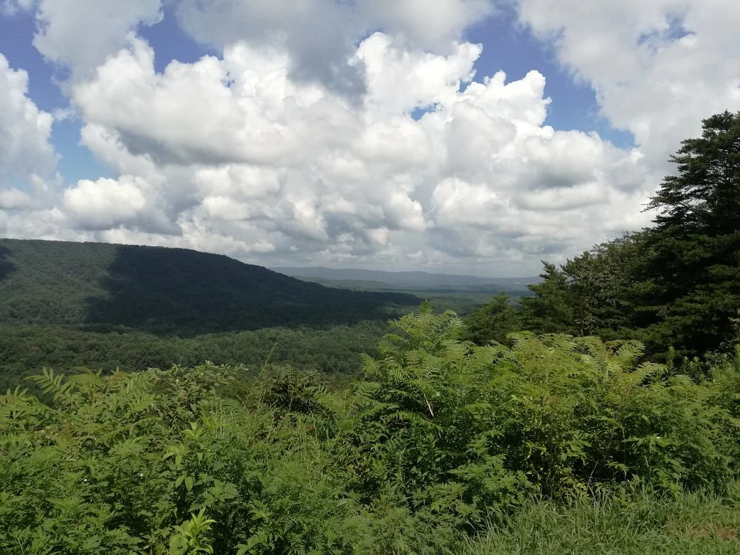 Talladega National Forest