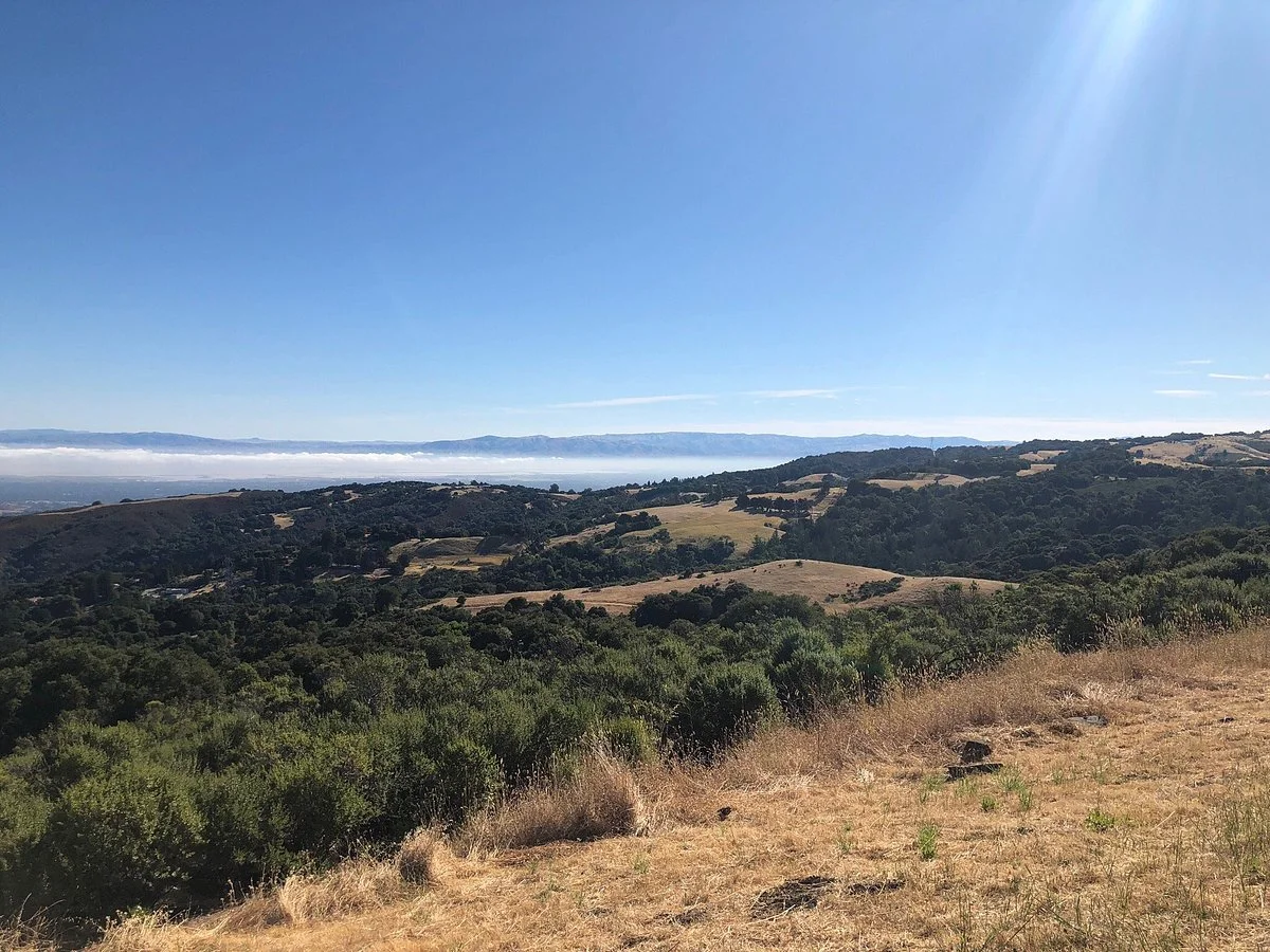 Russian Ridge Open Space Reserve